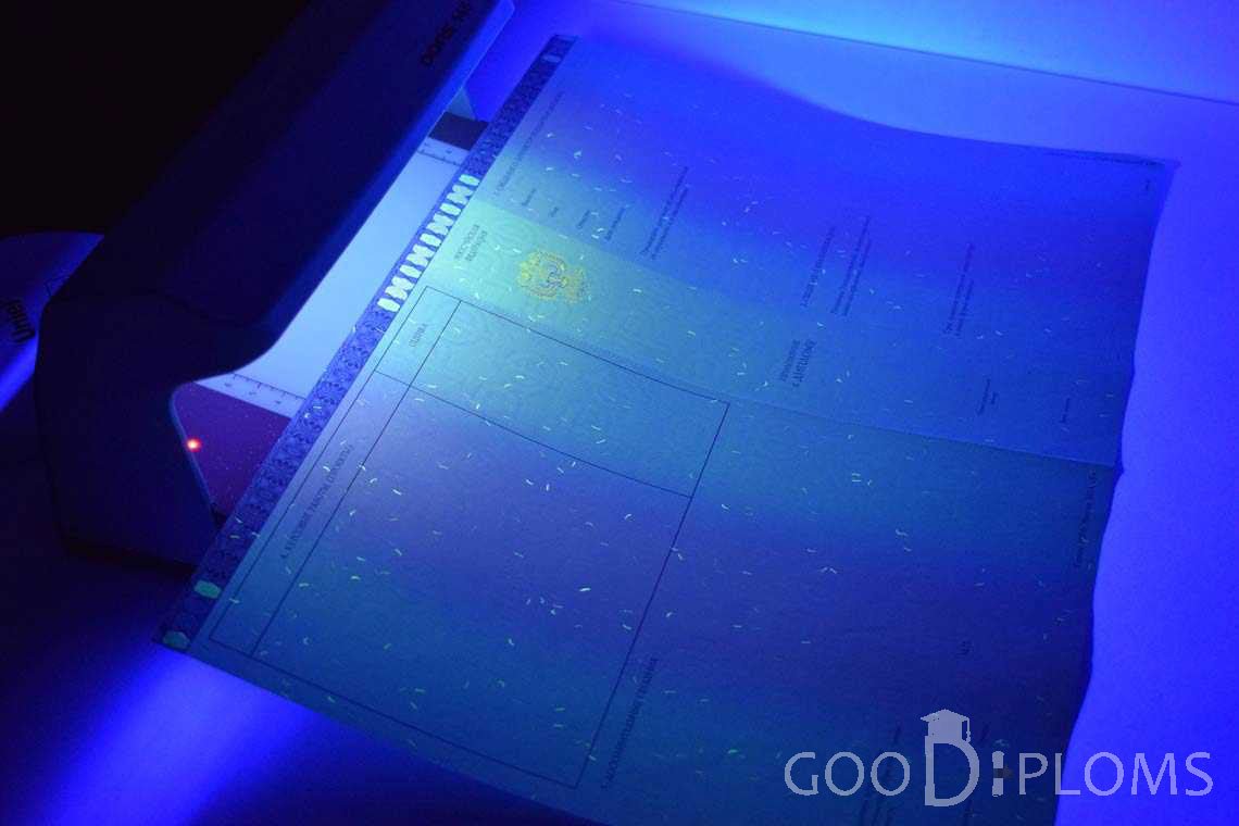 Приложение к Диплому Магистра в Ультрафиолете в период c 2014 по 2025 год - Умань